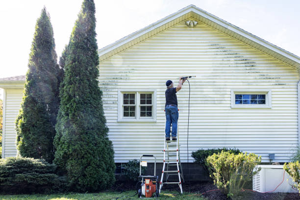 Professional Pressure Washing Services in East Palatka, FL