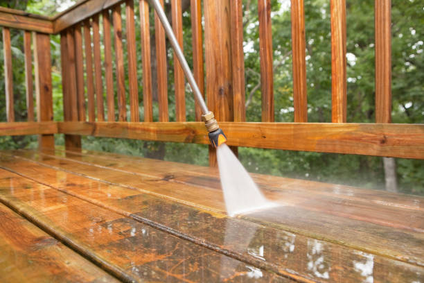 Best Fence Cleaning  in East Palatka, FL